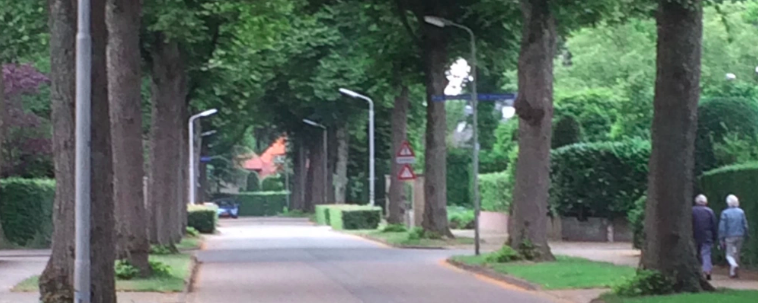 Je moet weten waar je heen wilt. Als je dat niet weet dan maakt het niets uit waar je terecht komt. Elke keuze die je neemt in vrijheid is goed.