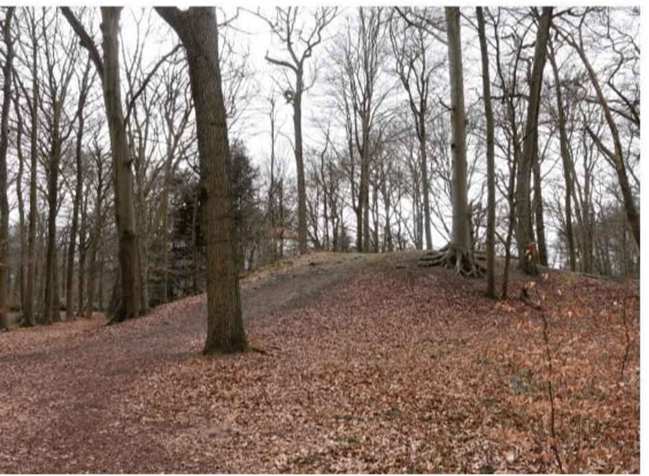 Deze afbeelding heeft een leeg alt-atribuut; de bestandsnaam is jkl-zwit1.png